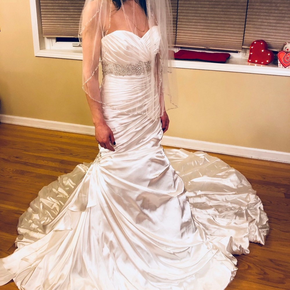 BRAND NEW MAGGIE SOTTERO Wedding Dress
